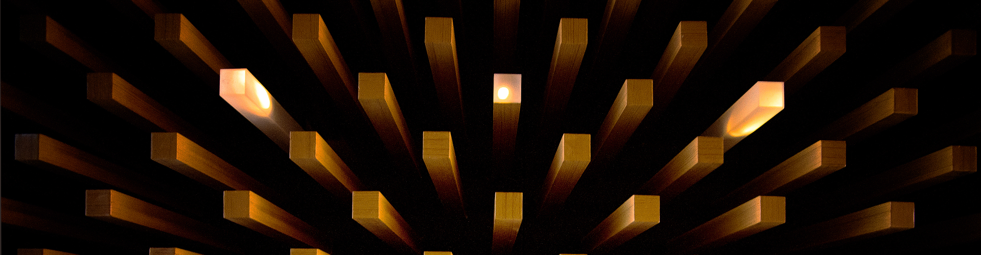 汗水营造光芒 激情灌注梦想